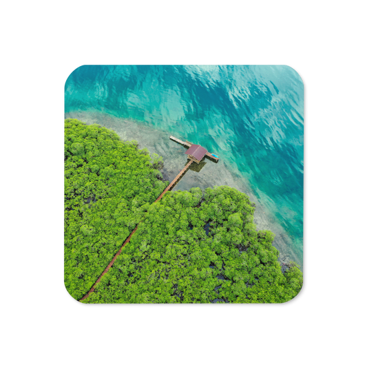 Cork-back coaster